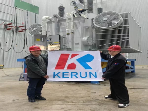 110 Kv Oil Immersed Power Transformer (3)