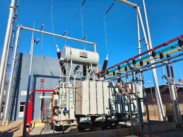 220 Kv Oil Immersed Power Transformer 2