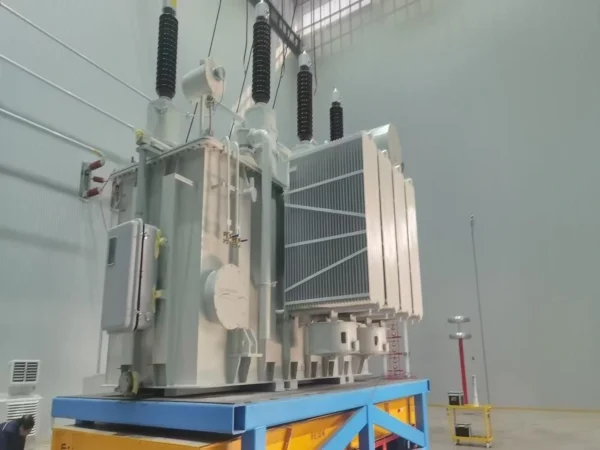 66 Kv Oil Immersed Power Transformer (2)