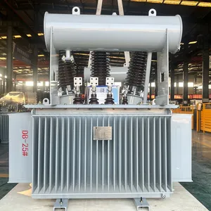 Electrical Transformer Oil Immersed Transformer