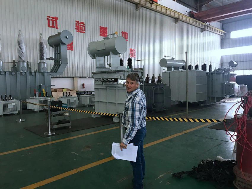 Power Transformer Oil Type